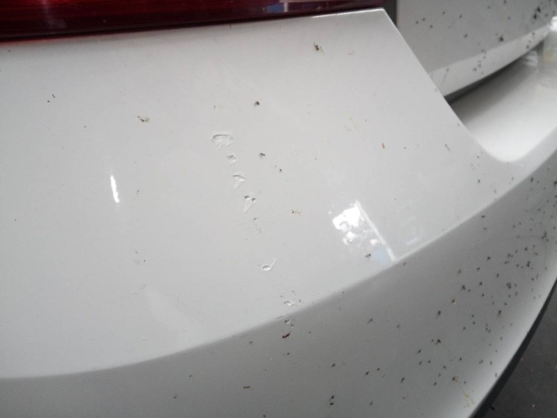 Recambio de paragolpes trasero para skoda rapid active referencia OEM IAM   