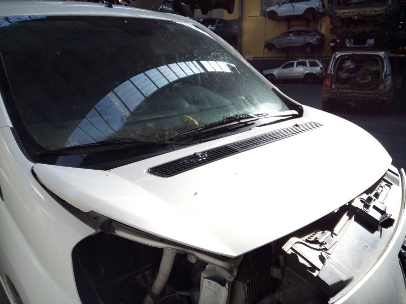 Recambio de capot para peugeot expert kasten furgón l1h1 referencia OEM IAM   