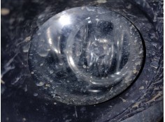 FARO ANTINIEBLA IZQUIERDO 