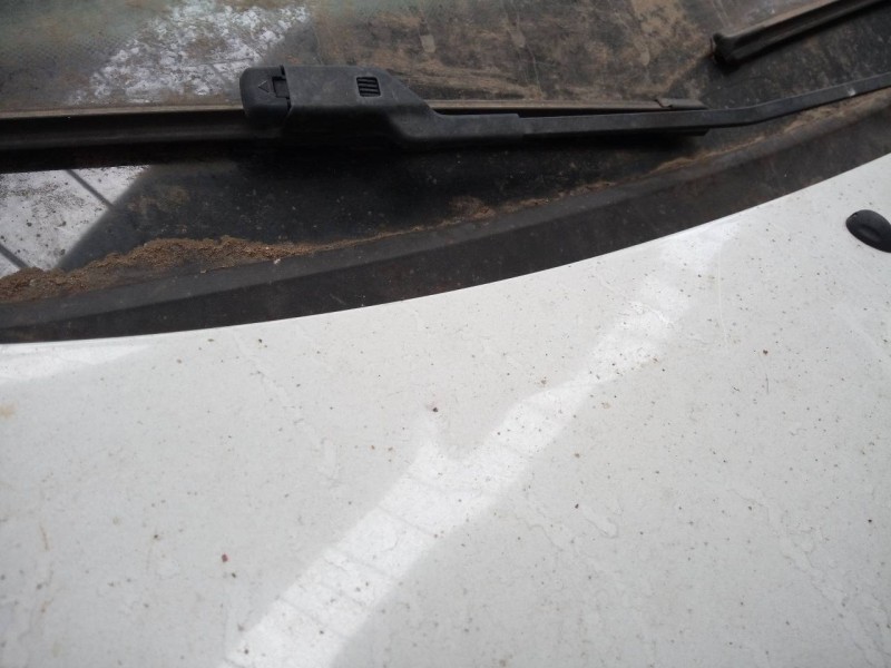 Recambio de capot para renault twingo authentique referencia OEM IAM   