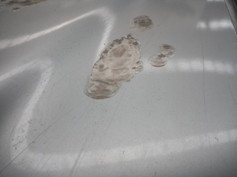 Recambio de capot para mercedes-benz clase m (w163) 430 (163.172) referencia OEM IAM   