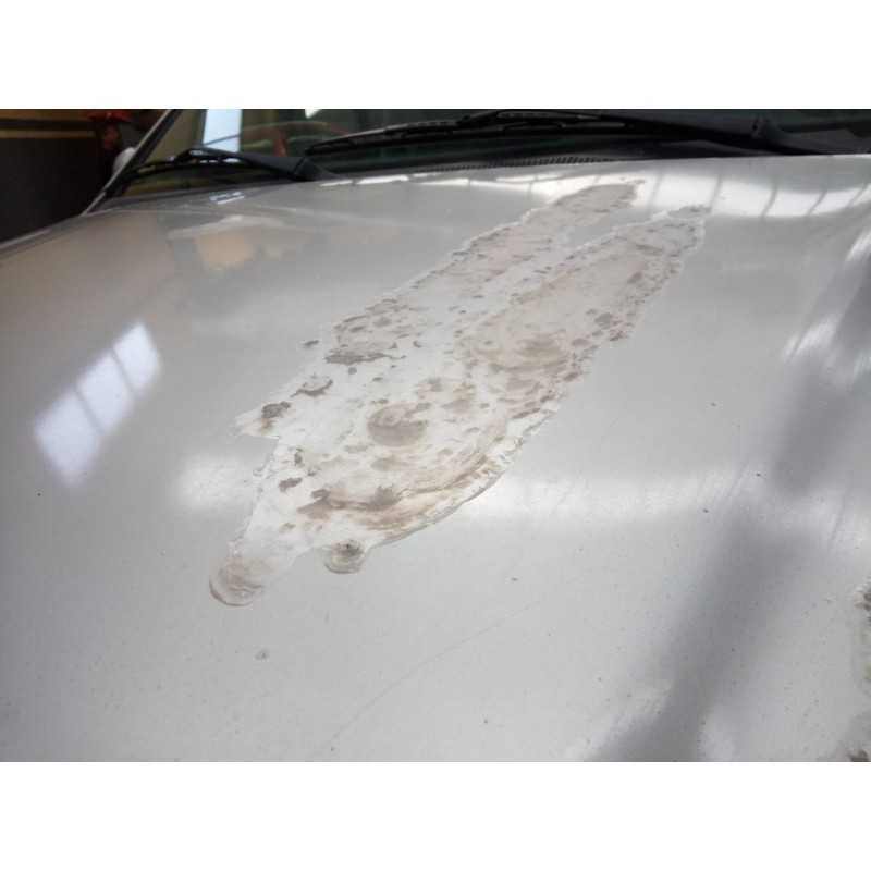 Recambio de capot para mercedes-benz clase m (w163) 430 (163.172) referencia OEM IAM   