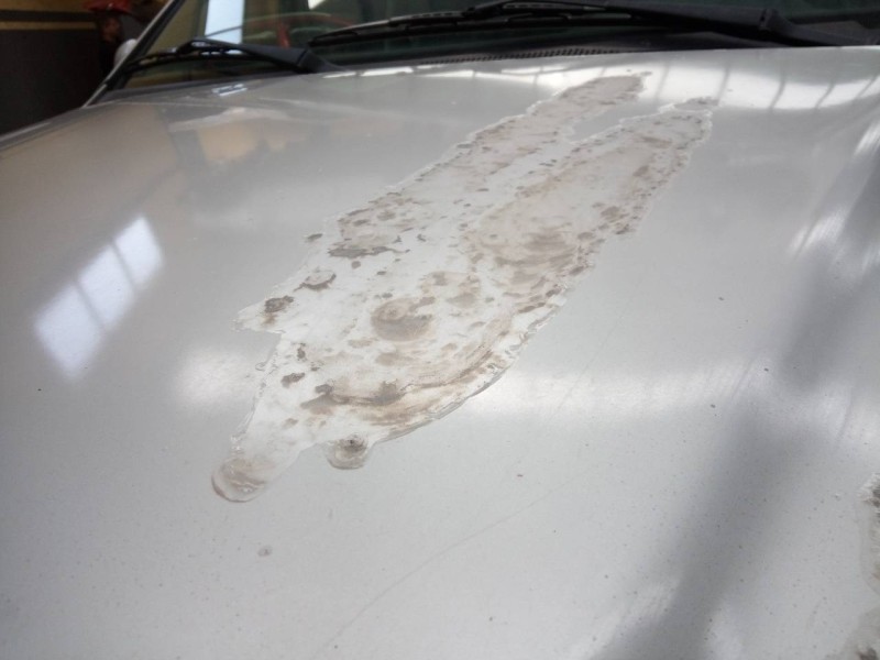 Recambio de capot para mercedes-benz clase m (w163) 430 (163.172) referencia OEM IAM   