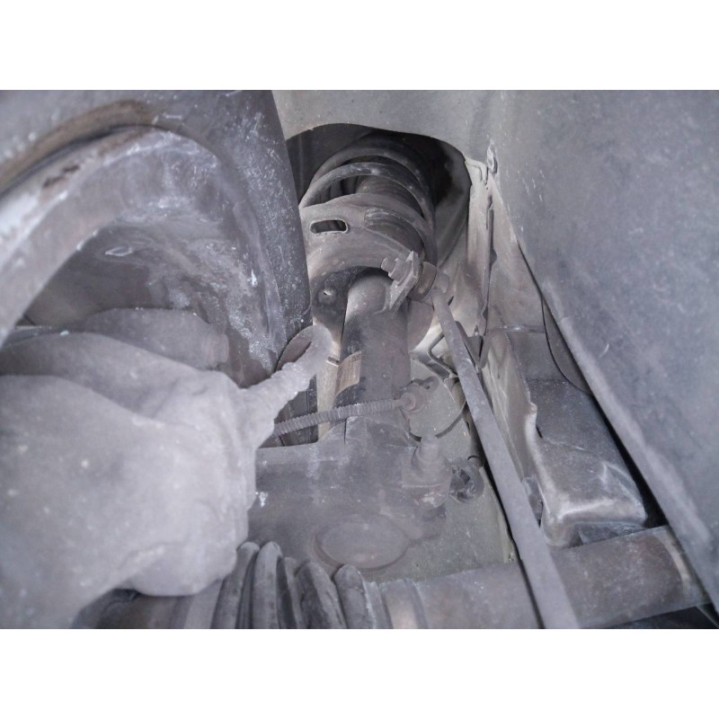 Recambio de amortiguador delantero derecho para citroën c3 collection referencia OEM IAM   