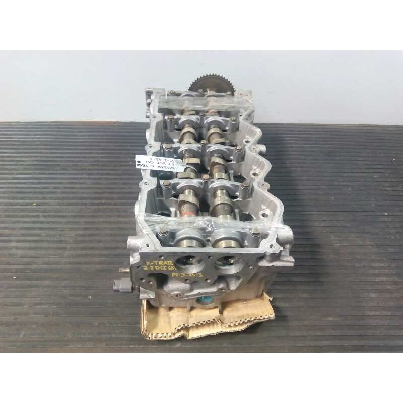 Recambio de culata para nissan x-trail (t30) 2.2 dci diesel cat referencia OEM IAM   P1-B8-7