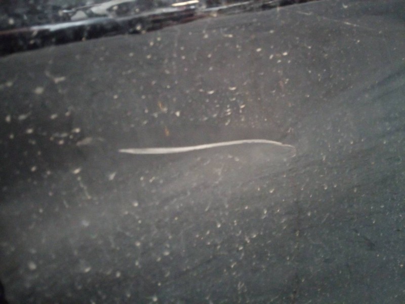 Recambio de puerta delantera derecha para bmw serie 3 gran turismo (f34) 320d referencia OEM IAM   