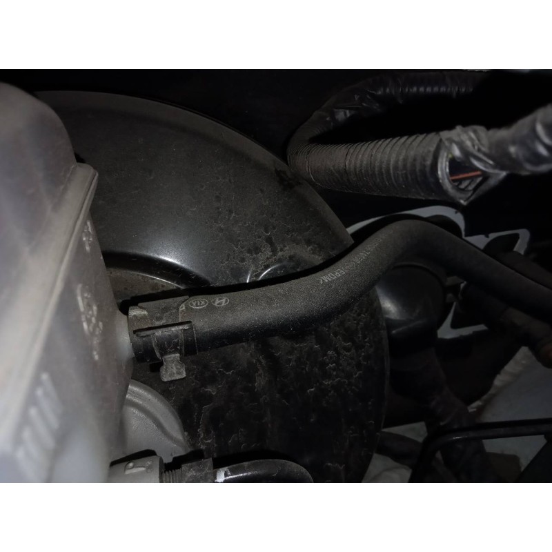 Recambio de servofreno para kia carens ( ) concep referencia OEM IAM   