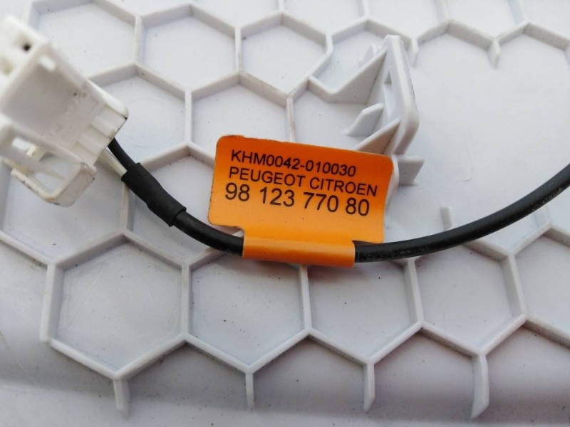 Recambio de luz interior para opel grandland x excellence referencia OEM IAM 9812377080  E3-A5-24-3