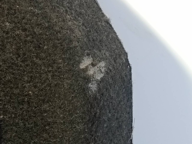 Recambio de bandeja trasera para nissan qashqai (j10) acenta referencia OEM IAM   P2-A1-33