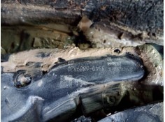 Recambio de pedal acelerador para bmw serie 1 lim. (f40) 118d referencia OEM IAM 35406889820   2