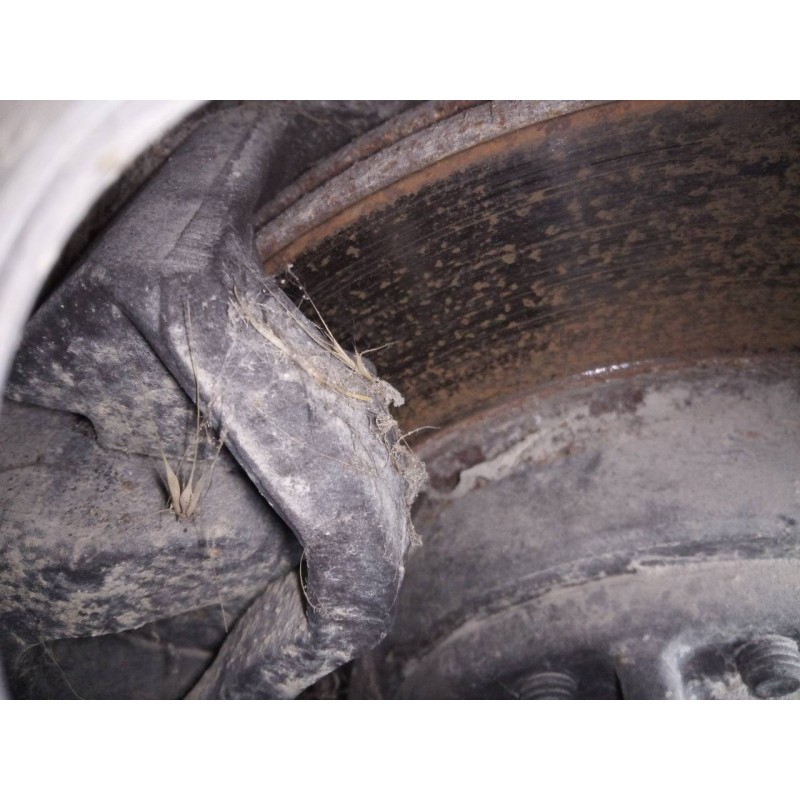 Recambio de pinza freno delantera izquierda para renault mascott fg 120. 35/55/65 cabina individual referencia OEM IAM   