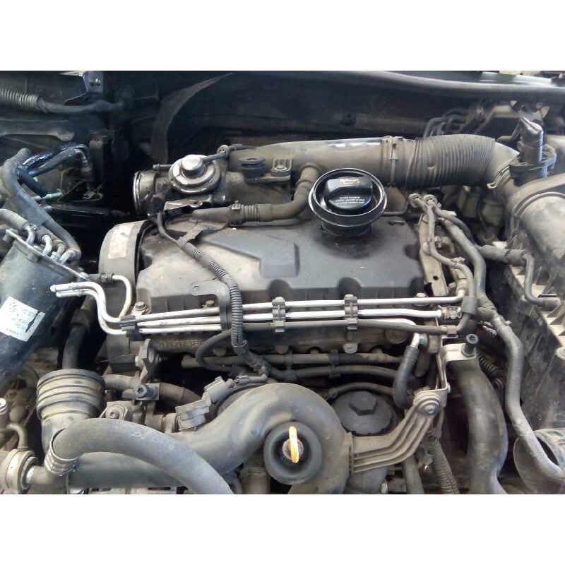 volkswagen golf v berlina (1k1) del año 1999