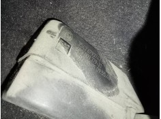 PEDAL ACELERADOR 3542679374301 