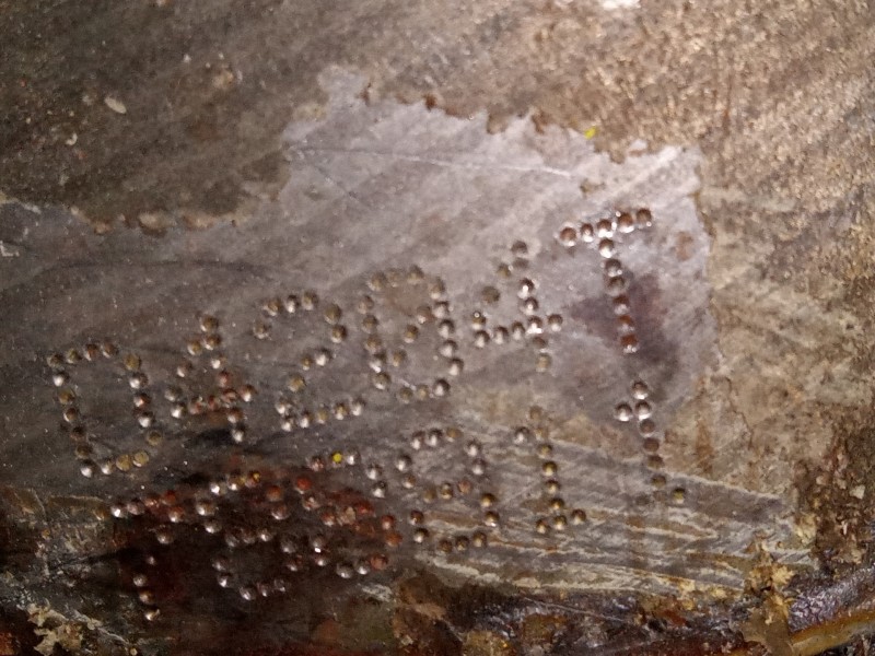 Recambio de motor completo para ford kuga (cbv) titanium 4x2 referencia OEM IAM UFDA  M1-B4-124