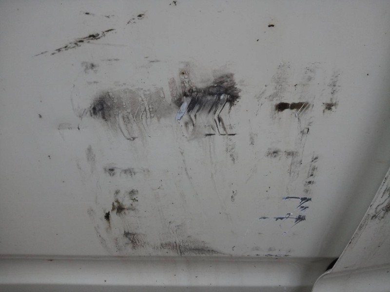 Recambio de puerta trasera derecha para nissan navara pick-up (d40m) doble cab fe 4x4 referencia OEM IAM   