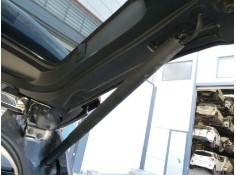 AMORTIGUADORES MALETERO / PORTON 