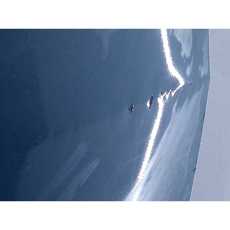 Recambio de puerta trasera derecha para seat ibiza (6j5) reference referencia OEM IAM   E4-A2-6