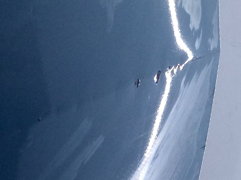 Recambio de puerta trasera derecha para seat ibiza (6j5) reference referencia OEM IAM   E4-A2-6