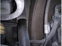 AMORTIGUADOR TRASERO DERECHO 