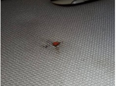 Recambio de parasol izquierdo para bmw serie 3 coupe (e92) e92 coupé 320d referencia OEM IAM    2