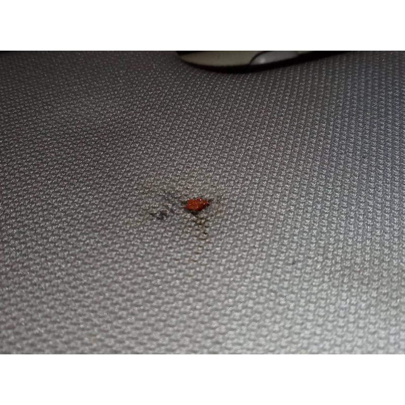 Recambio de parasol izquierdo para bmw serie 3 coupe (e92) e92 coupé 320d referencia OEM IAM   