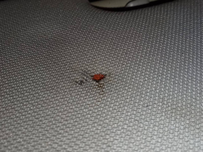 Recambio de parasol izquierdo para bmw serie 3 coupe (e92) e92 coupé 320d referencia OEM IAM   