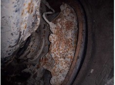 PINZA FRENO DELANTERA DERECHA 