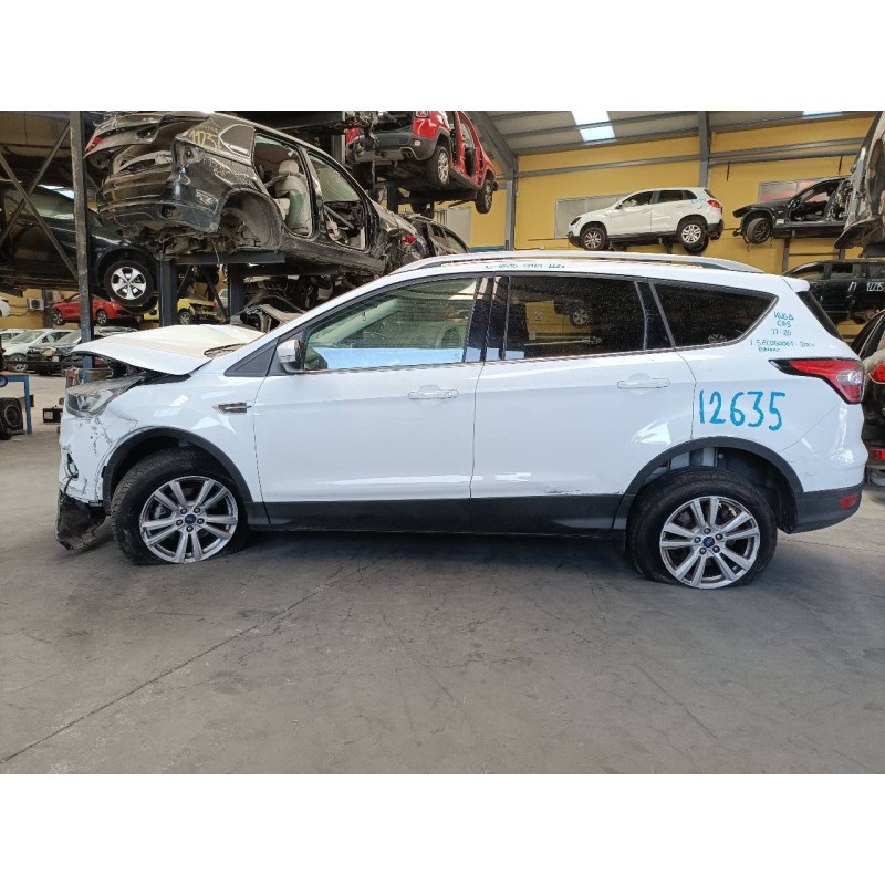 ford kuga (cbs) del año 2019