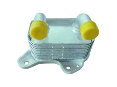 Recambio de enfriador aceite motor para bmw serie 3 berlina (e46) 2.0 24v referencia OEM IAM 413173 NUEVO T1-5-A4-1