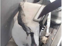 CINTURON SEGURIDAD TRASERO CENTRAL 