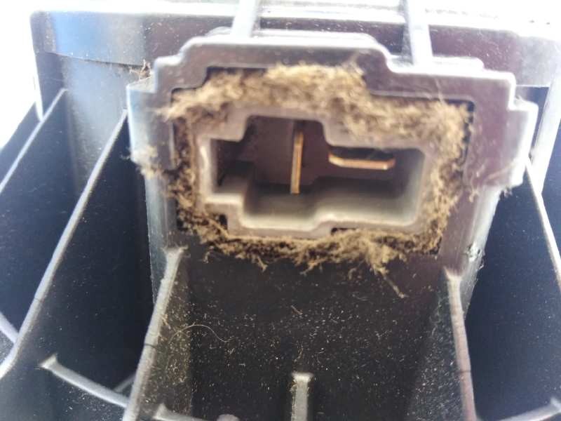 Recambio de ventilador calefaccion para kia cee´d drive referencia OEM IAM F00S3B2474  E3-A3-30-4