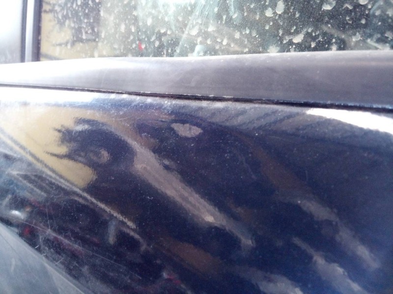 Recambio de puerta trasera izquierda para audi a3 sportback (8p) 1.6 tdi ambiente referencia OEM IAM   