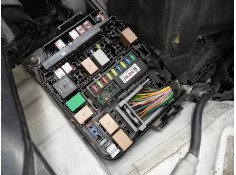 CAJA RELES / FUSIBLES 919513X160 