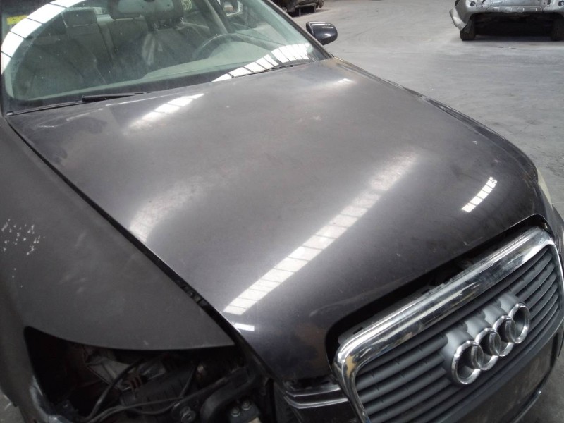 Recambio de capot para audi a6 berlina (4f2) 2.7 tdi quattro (132kw) referencia OEM IAM   