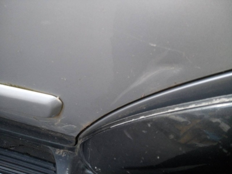 Recambio de puerta trasera izquierda para mitsubishi montero sport (k90) 2.5 td gls plus referencia OEM IAM   