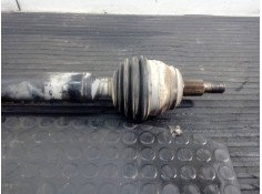 Recambio de transmision delantera derecha para audi a3 (8l) 1.8 ambiente referencia OEM IAM    2