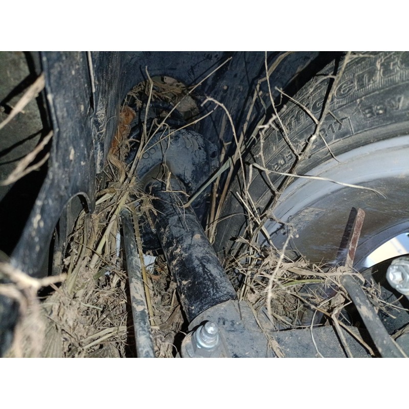 Recambio de amortiguador delantero izquierdo para volkswagen golf vii (5g1, bq1, be1, be2) 1.6 tdi referencia OEM IAM   