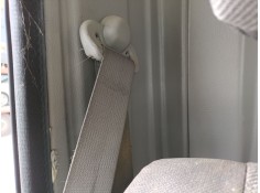 CINTURON SEGURIDAD DELANTERO DERECHO 