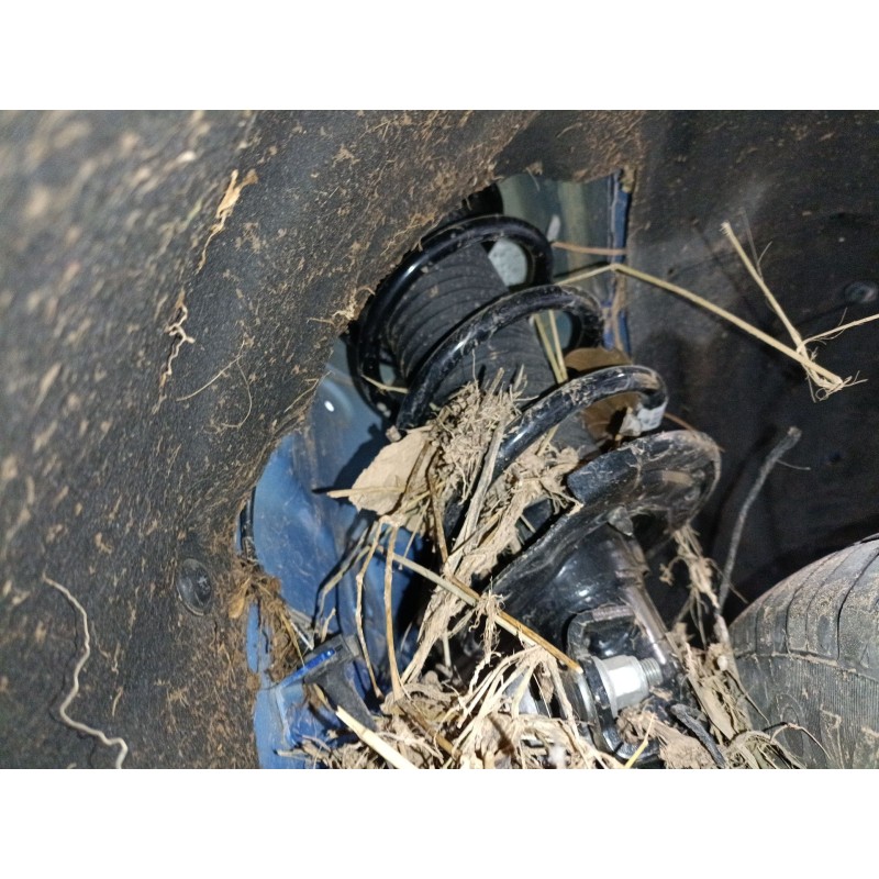 Recambio de amortiguador delantero derecho para ford puma (j2k, cf7) 1.0 ecoboost mhev referencia OEM IAM   