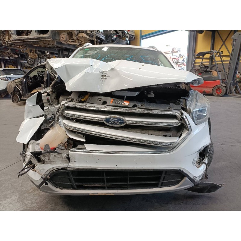 ford kuga (cbs) del año 2019