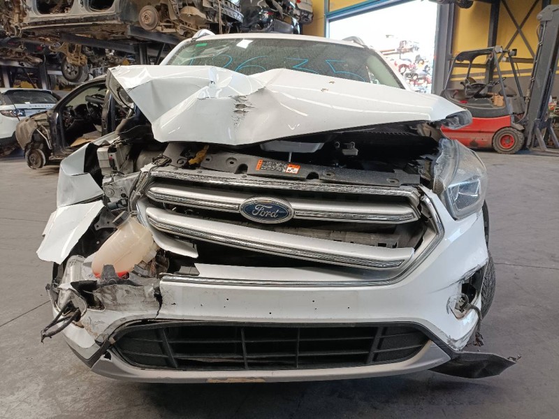 ford kuga (cbs) del año 2019