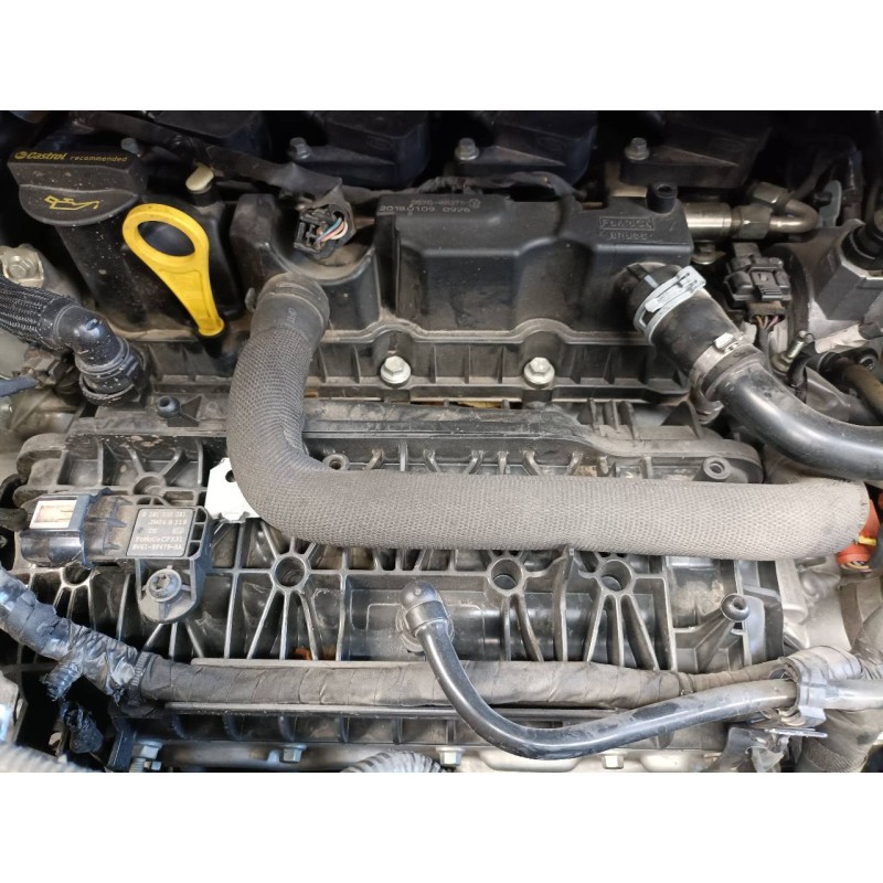 ford kuga (cbs) del año 2019