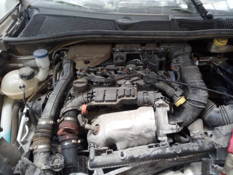 citroën c4 cactus del año 2018