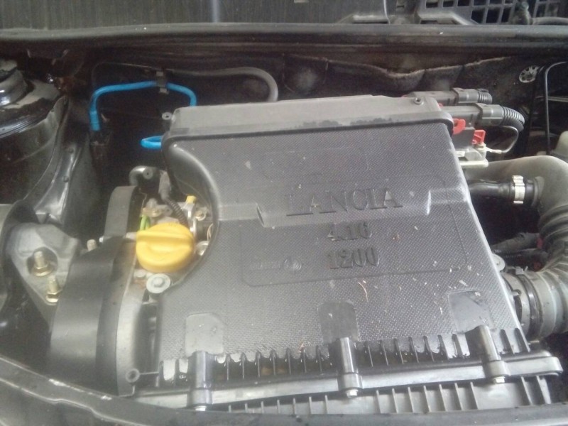 lancia ypsilon (101) del año 2007