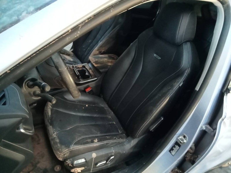 fengon marvel r del año 2023