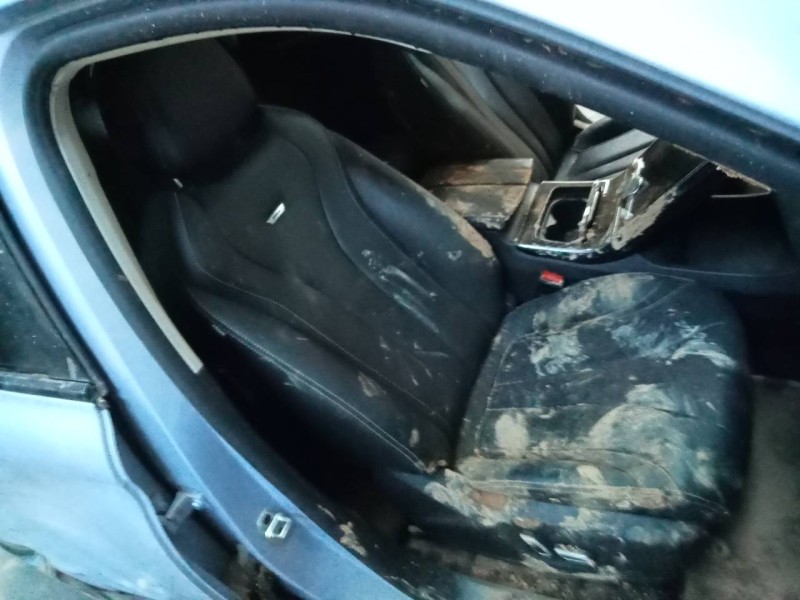 fengon marvel r del año 2023