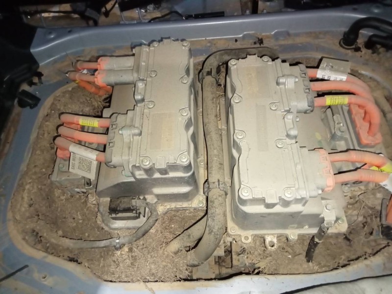 fengon marvel r del año 2023