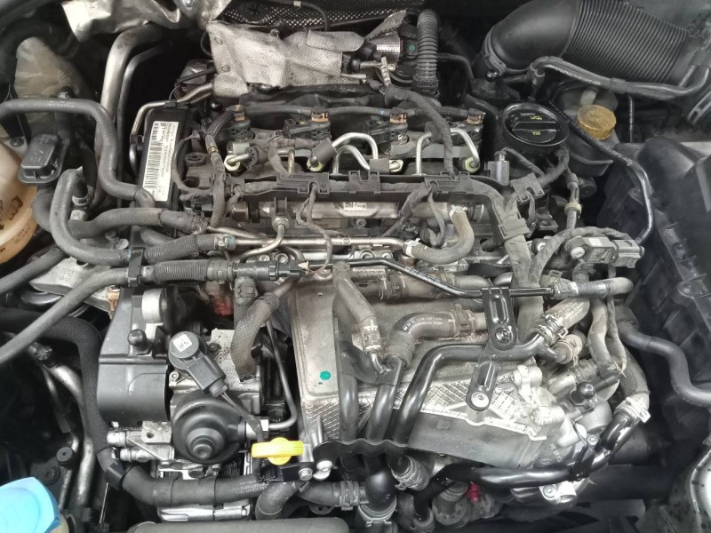 skoda rapid del año 2016