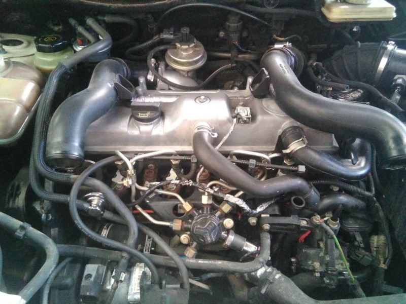 ford transit connect (tc7) del año 2003