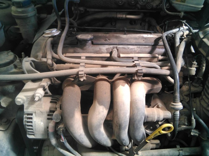 ford focus turnier (cak) del año 2000